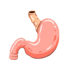 human gastric organ sticker in clipart illustration