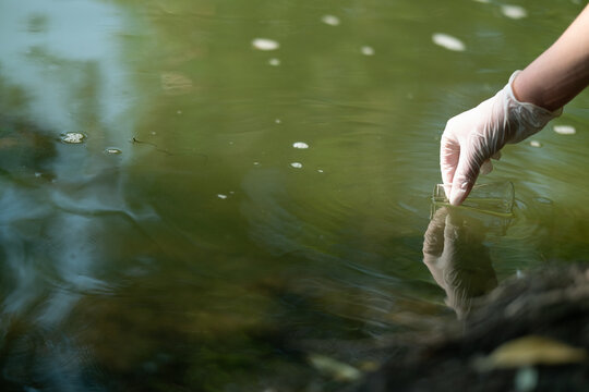 Sampling water for testing. Study of the quality of waste and drinking water. Water analysis