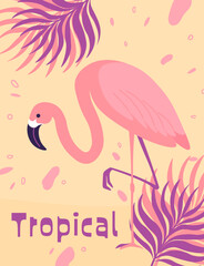 Tropical flora and fauna, flamingo bird vector