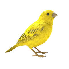 Canary PNG Cutout, Generative AI
