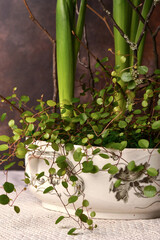 Floral arrangement in an antique porcelain planter