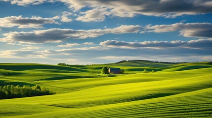 Obraz premium harvest fields farm