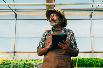 Farmer senior man working in his farm and greenhouse - 733664118