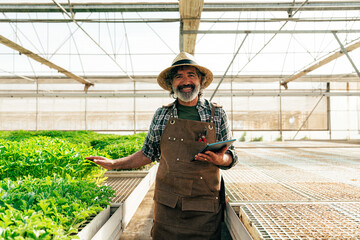 Farmer senior man working in his farm and greenhouse - 733664132