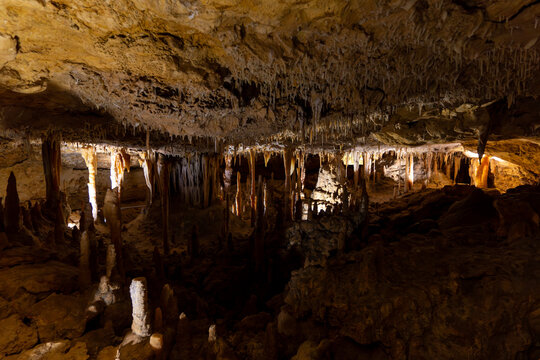 Victoria Fossil Cave in Naracoorte Caves National Park
