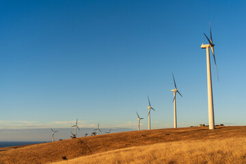 Starfish Hill Wind Farm in Cape Jervis