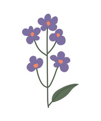 One branch with purple wildflowers, leaves on a long stem. Vector, botanical illustration of a spring flower, suitable for icons, frame design, holiday illustrations