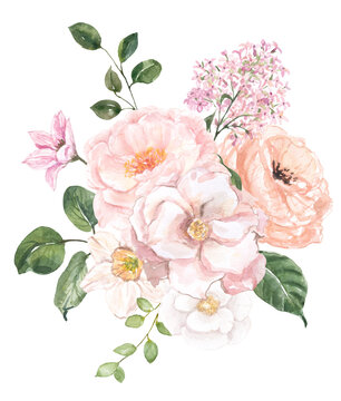 Beautiful floral bouquet illustration. Watercolor blush pink spring flowers and green leaf arrangement. Botanical painting. PNG clipart.