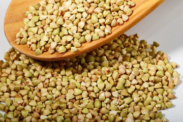 Buchweizen,  Fagopyrum esculentum