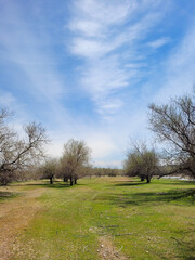 The landscape of wild nature is an incredible freedom, a deep feeling of unity with the world and the planet.