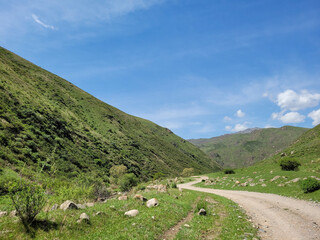 Fototapeta premium Mountain road along a beautiful plateau between mountain ranges. An untrodden path full of adventures and beautiful views.