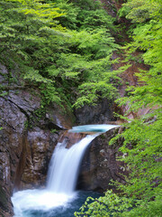 新緑の竜神の滝
