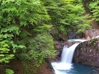 新緑の竜神の滝