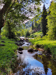 A spring surrounded by green scenery. Such a cheerful and bright look gives a feeling of peace and freedom.