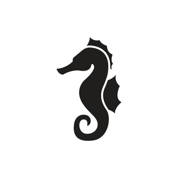 seahorse icon vector