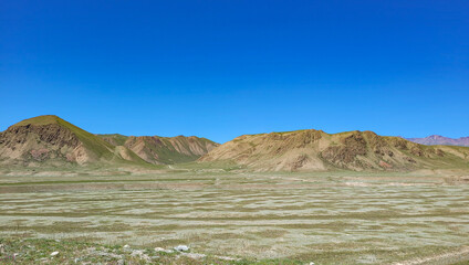 The steppe beauty of wild nature A landscape that is more reminiscent of a foreign species, alien.
