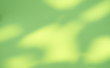 Green Background Abstract Shadow Leaf Nature Gradient Light blur Cement Wall Floor Backdrop Eco Fresh Spring