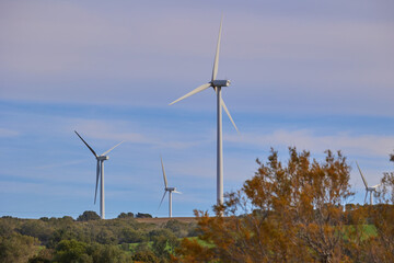 Wind turbines with landscape of agricultural fields under blue sky