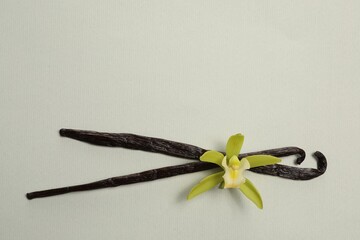 Vanilla pods and beautiful flower on light grey background, top view. Space for text