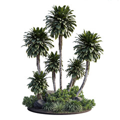 palm circle garden group isolated