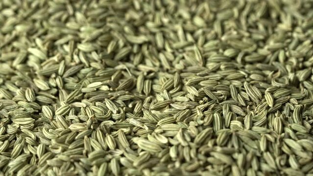 dry fennel seed sounf food background texture closeup rotate footage