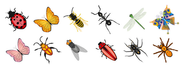 Insect  set, butterfly, ant, dragonfly, wasp, ladybug, beetle, spider. Zoological icons, templates, decor elements, vector