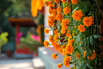 Lush Orange Marigold Flowers Hanging in Garden, Traditional Festive Decor, Vibrant Nature Backdrop
