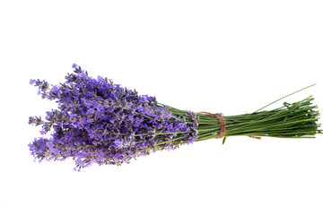 lavender bouquet isolated