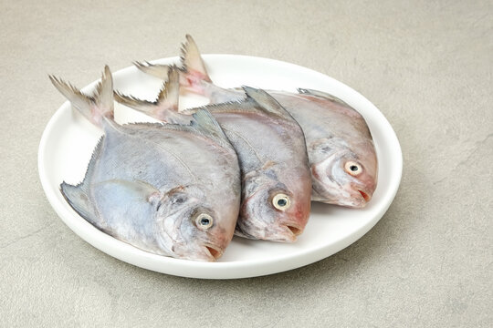 Ikan Dorang or Ikan Bawal Putih, food preparation
