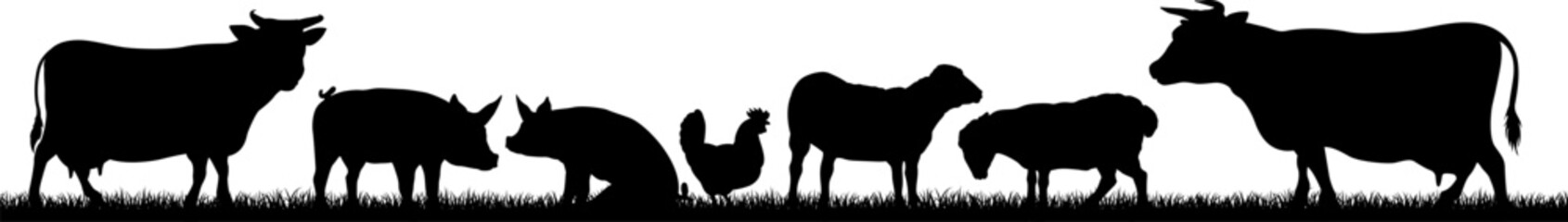 A farm animals scene with silhouettes of cows, chicken, sheep and pigs in a grass field scene landscape © Christos Georghiou