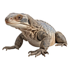 Obraz premium Monitor Lizard PNG Cutout, Generative AI