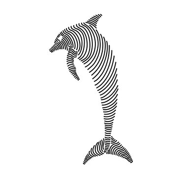 recommend clip art: Simple line art illustration of a dolphin 3