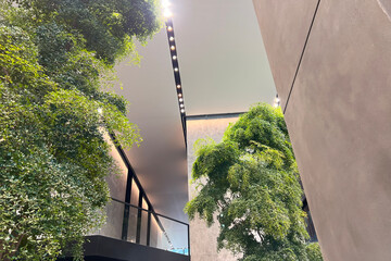 Modern loft interior with the tree inside. Interior of hall lobby in the office building or hotel...