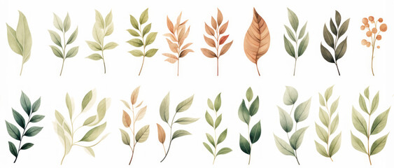 Watercolor botanical illustration of diverse leaves collection