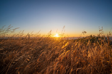 Sunset over the vast landscape of Cape Jervis