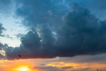 Naklejka na ściany i meble cloudscape at sunset with seagulls.