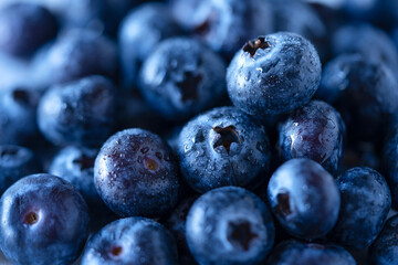 Blueberries background. Macro shot of blueberries with water drops. Summer fruit background. Healthy food. Fruit background