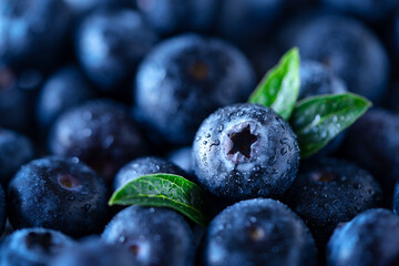 Blueberries with leaves. Macro shot of blueberries background. Superfoods concept, front view. Healthy food