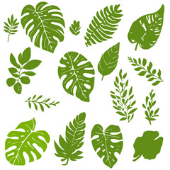 Green silhouette houseplants leaves pattern.