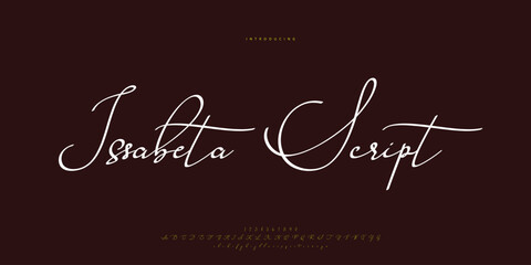 Fototapeta na wymiar signature Font Calligraphy Logotype Script Brush Font Type Font lettering handwritten 