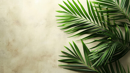 Green leaves palm isolated on white background for montage product display or design - obrazy, fototapety, plakaty