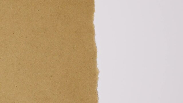 A piece of paper is torn in half