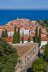 Old Town of Piran in Slovenia - 733716103