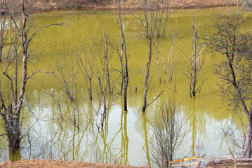 Green waste waters from a copper mine polluting  the environment. Geamana decantation lake, Romania