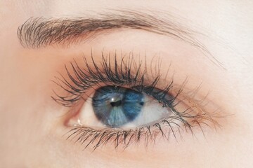 Diplopia concept - double  vision. Diagnosis in Opthalmology