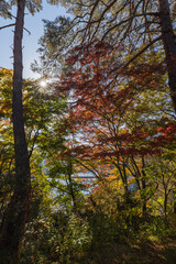 日本 福島県河沼郡柳津町にある福満虚空蔵菩薩、円蔵寺の紅葉