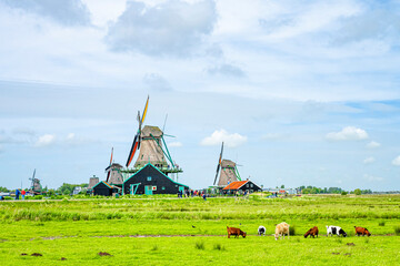 Fototapeta na wymiar Zaanse Schans village with houses and windmills in summer, Holland