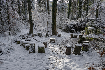 Baumklötze als Sitzgelegentheiten im winterlichen Wald, im  Kreis angeordnet, Schweiz