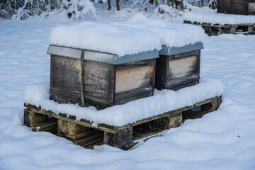 Schneebedeckte Bienenkäasten im Winter, Schweiz