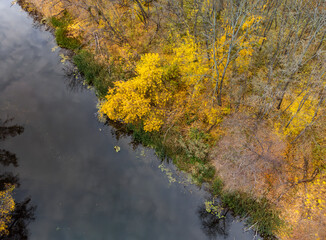 Autumn aerial drone look down view on river with colorful yellow trees on riverbanks. Autumnal Ukraine